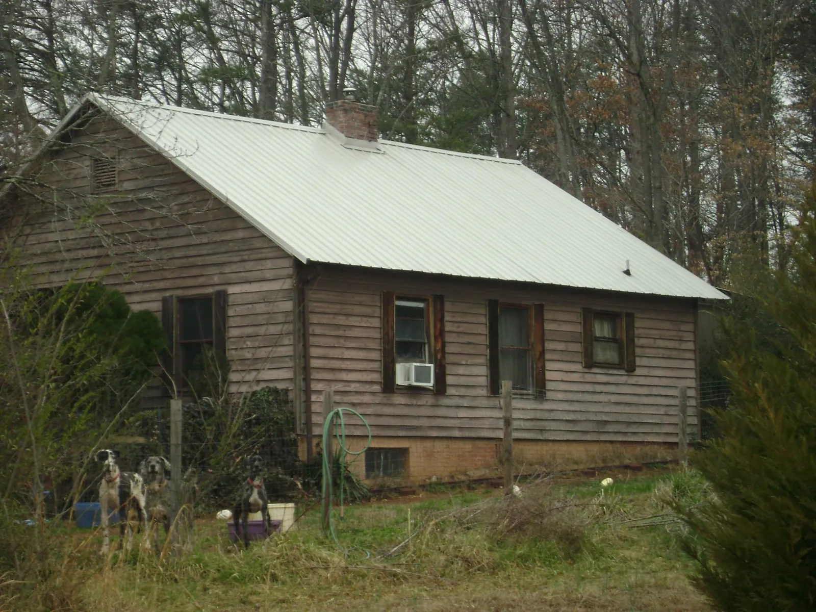 White metal roof on an old wood sided farmhouse, from a Asphalt Shingle Roof Repair job in Hermitage